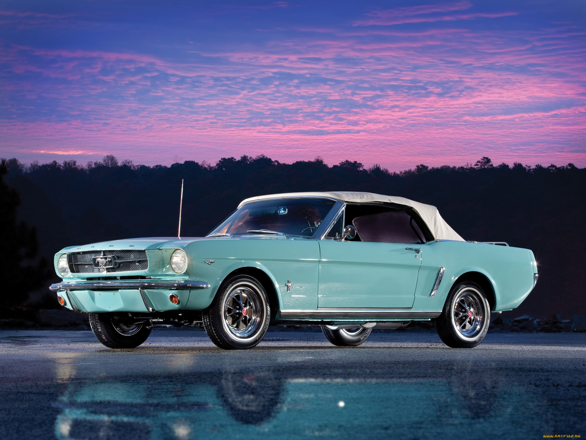 , mustang